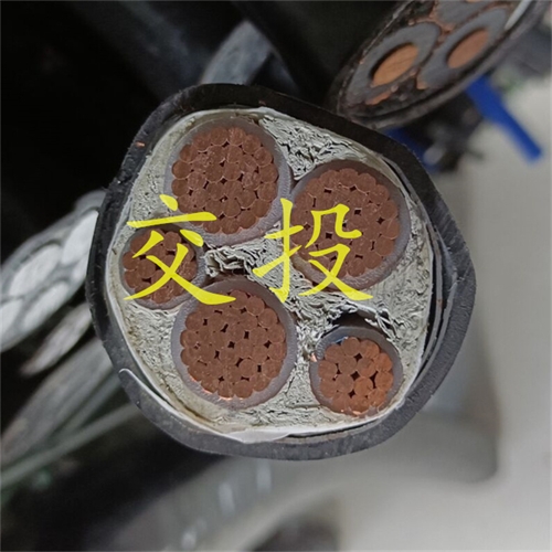 www.jinyijituan.com