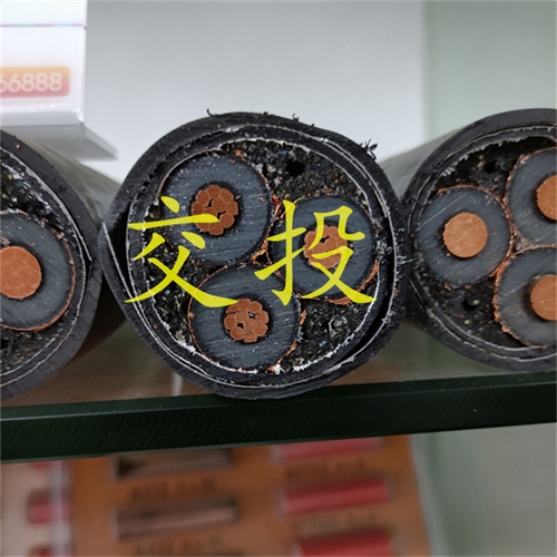 www.jinyijituan.com
