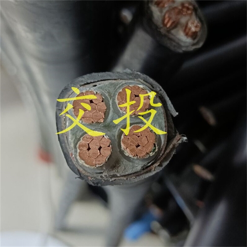 www.jinyijituan.com