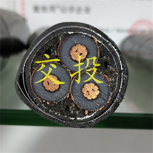 www.jinyijituan.com