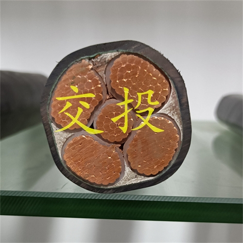 www.jinyijituan.com