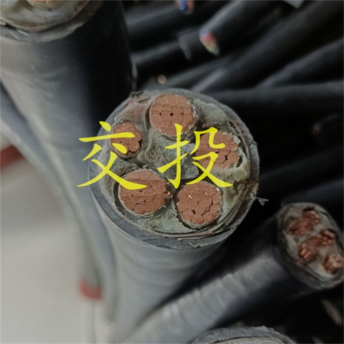 www.jinyijituan.com