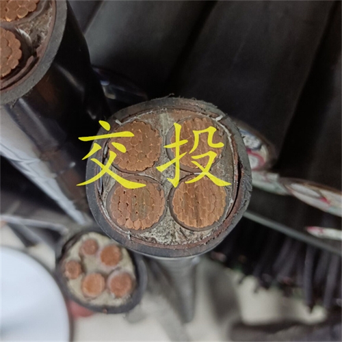 www.jinyijituan.com