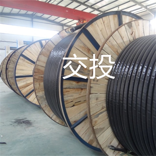 www.jinyijituan.com