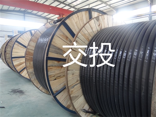 www.jinyijituan.com