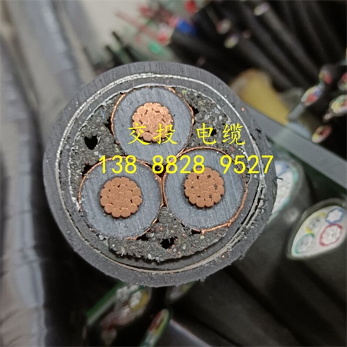 www.jinyijituan.com