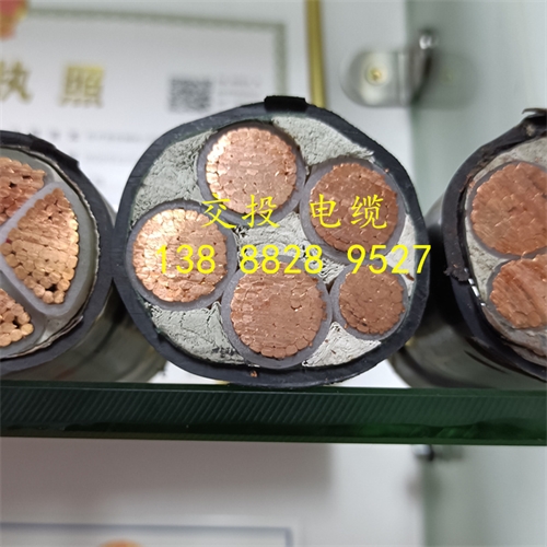 www.jinyijituan.com