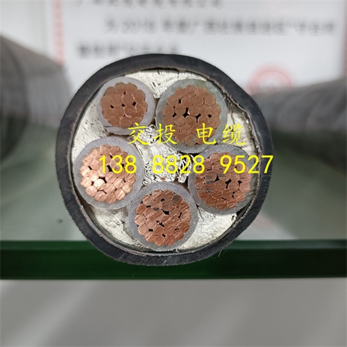 www.jinyijituan.com