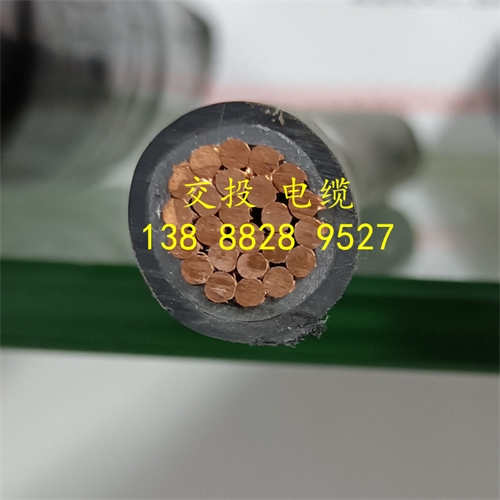 www.jinyijituan.com