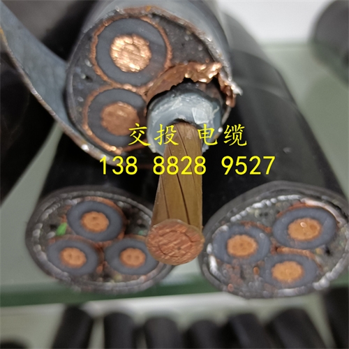 www.jinyijituan.com