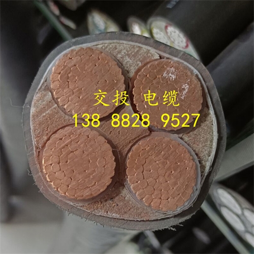 www.jinyijituan.com