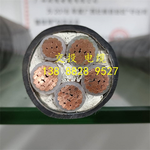 www.jinyijituan.com