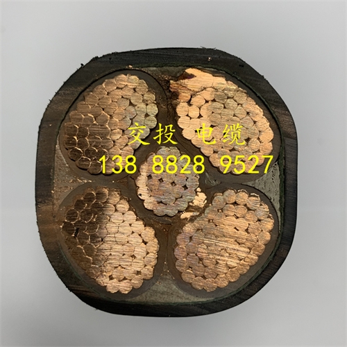 www.jinyijituan.com