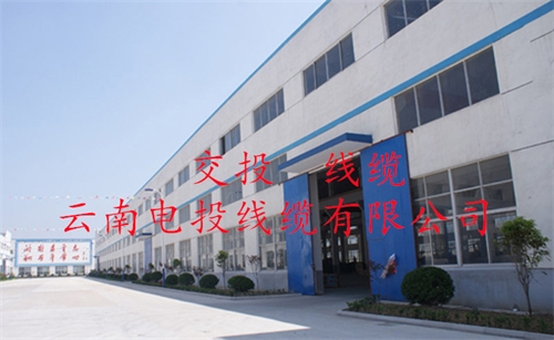www.jinyijituan.com