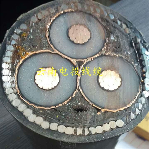 www.jinyijituan.com
