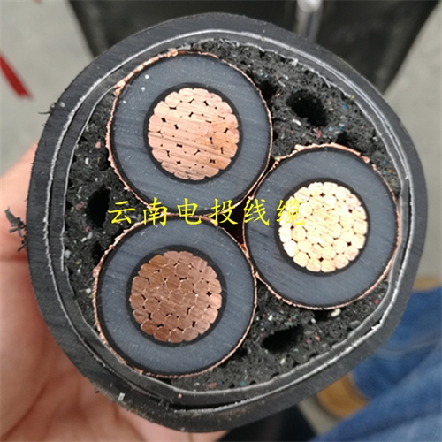 www.jinyijituan.com