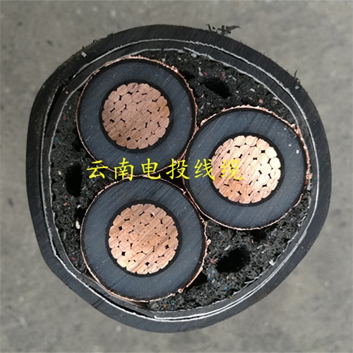 www.jinyijituan.com