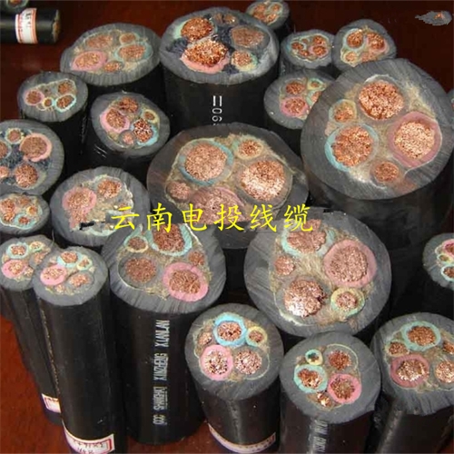 www.jinyijituan.com