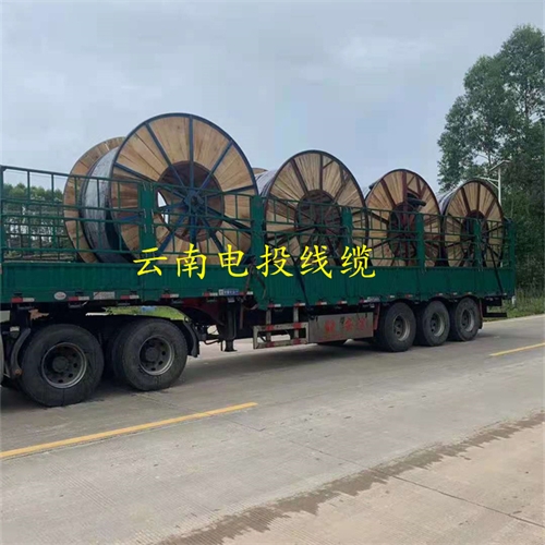 www.jinyijituan.com