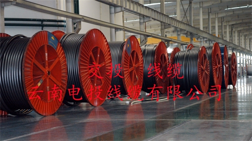 www.jinyijituan.com