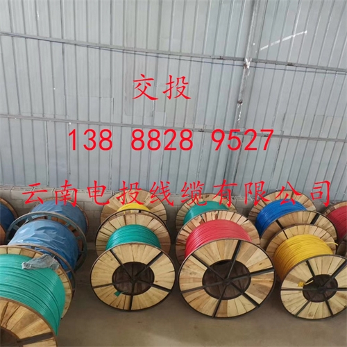 www.jinyijituan.com