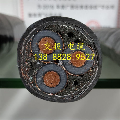www.jinyijituan.com