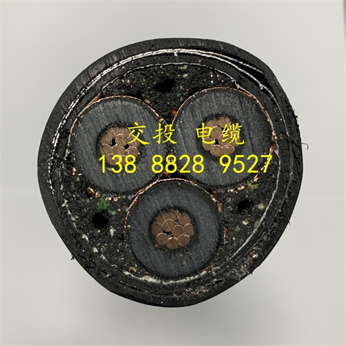 www.jinyijituan.com