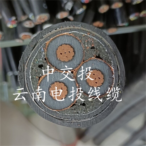 www.jinyijituan.com