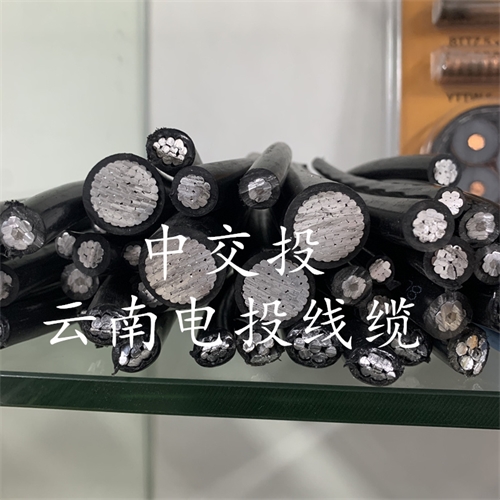www.jinyijituan.com