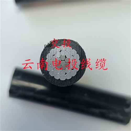 www.jinyijituan.com
