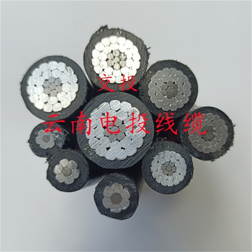 www.jinyijituan.com