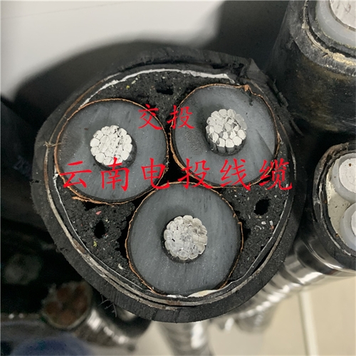 www.jinyijituan.com