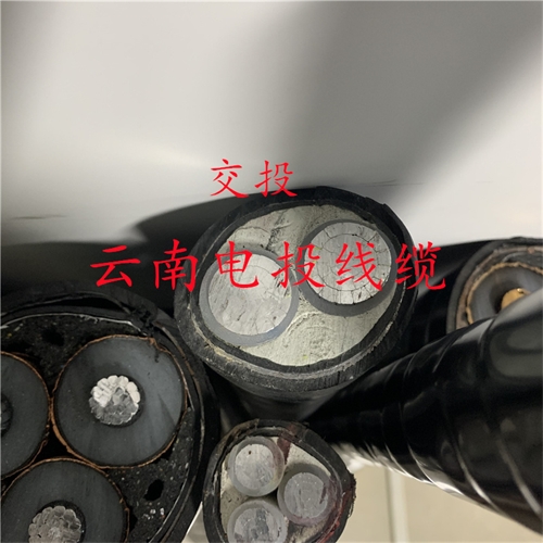www.jinyijituan.com