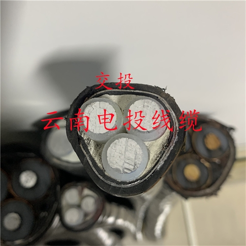www.jinyijituan.com