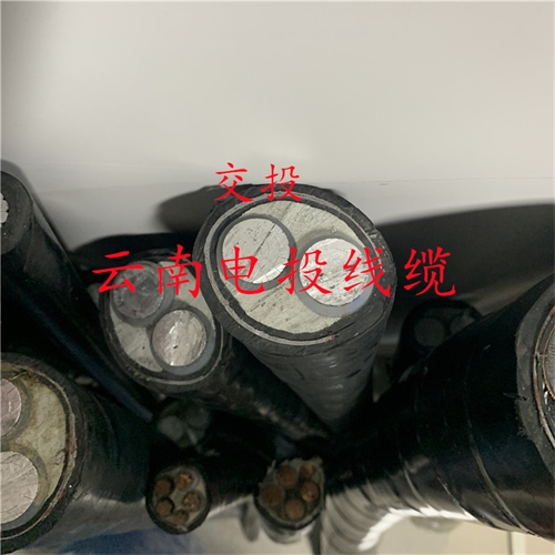 www.jinyijituan.com