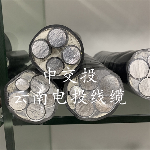 www.jinyijituan.com
