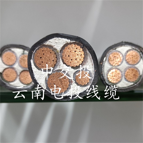 www.jinyijituan.com