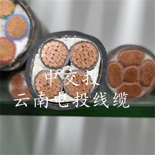www.jinyijituan.com
