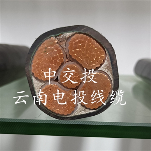 www.jinyijituan.com