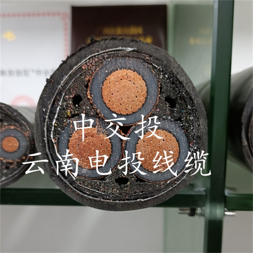 www.jinyijituan.com