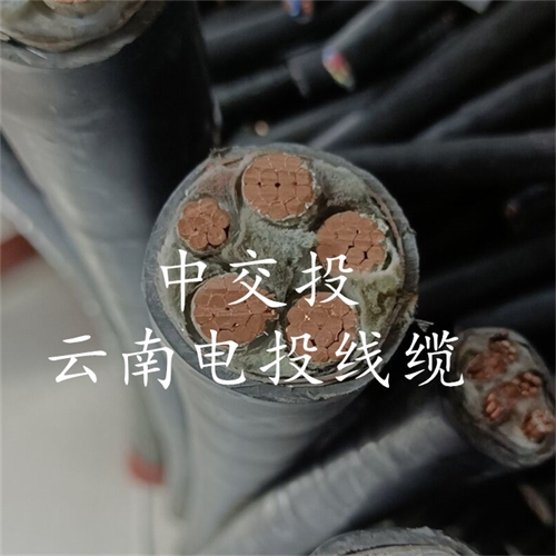 www.jinyijituan.com