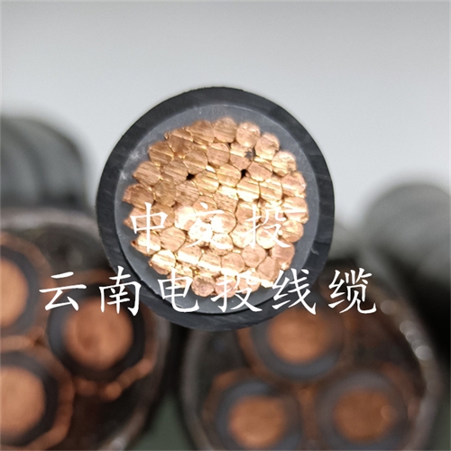 www.jinyijituan.com