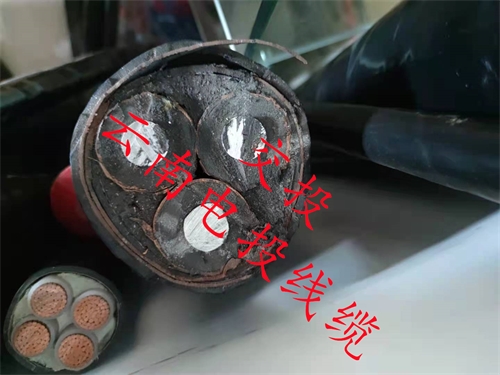 www.jinyijituan.com