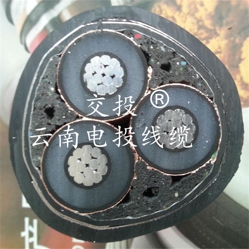 www.jinyijituan.com