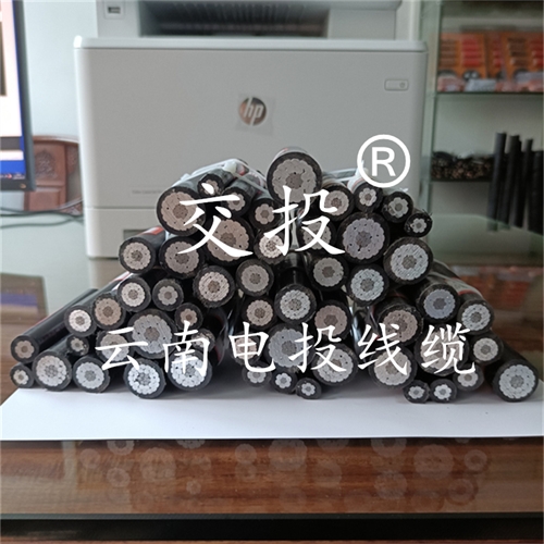 www.jinyijituan.com