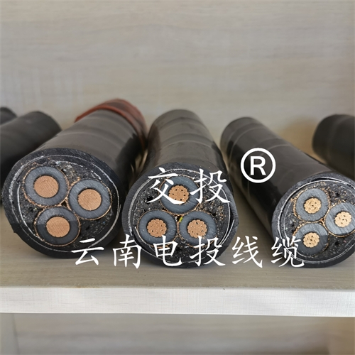www.jinyijituan.com