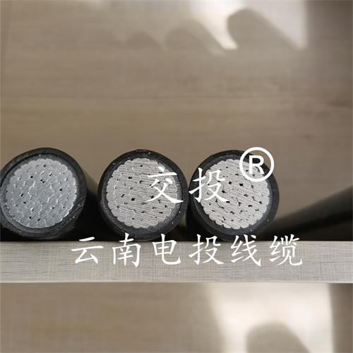 www.jinyijituan.com