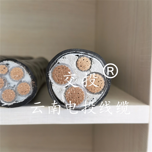www.jinyijituan.com