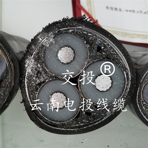 www.jinyijituan.com