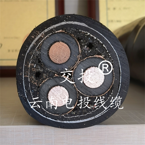 www.jinyijituan.com